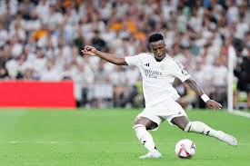 他们本赛季 他们本赛季